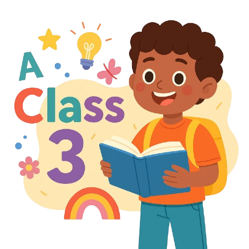 Class 3